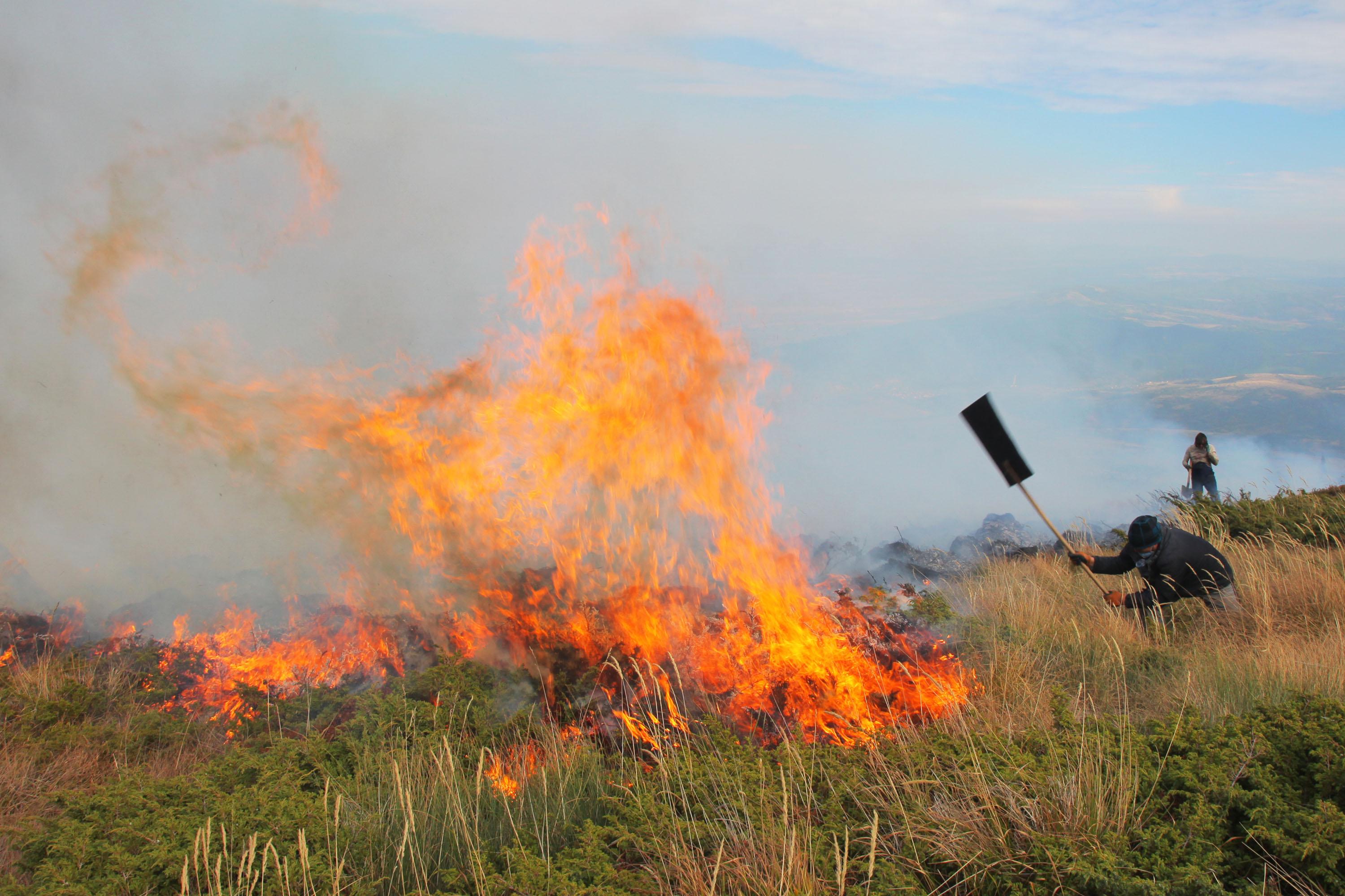 Пожар избухна в резерват над Костенец