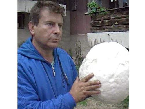 4-килограмова пърхутка откри следовател от Кюстендил 