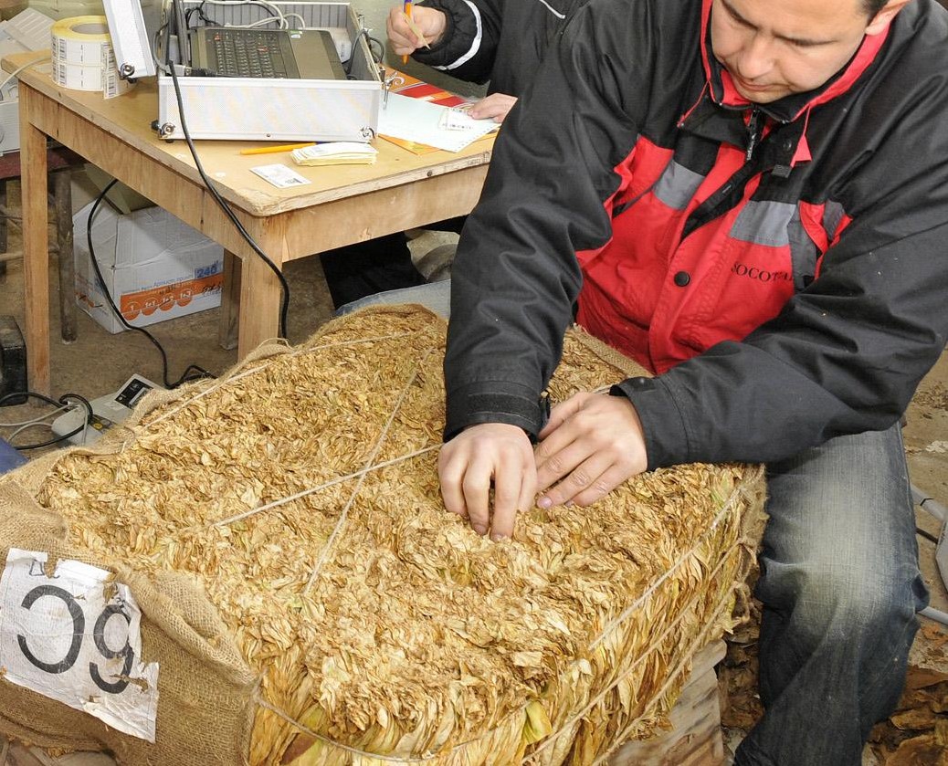 34 килограма тютюн “подаръци за децата” задържаха митничарите на “Капитан Андреево”