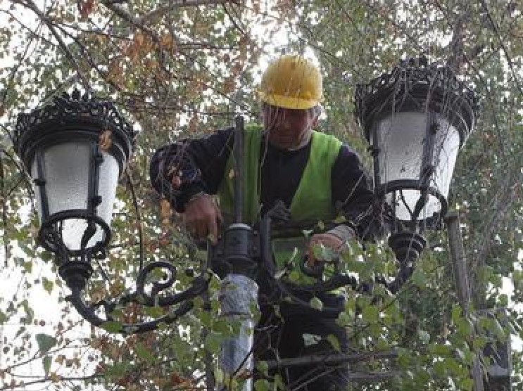 Проверяват новите лампи в Борисовата градина