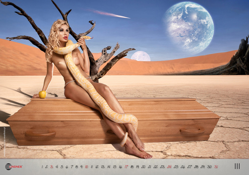 Погребална агенция посреща 2013-а с еротичен календар