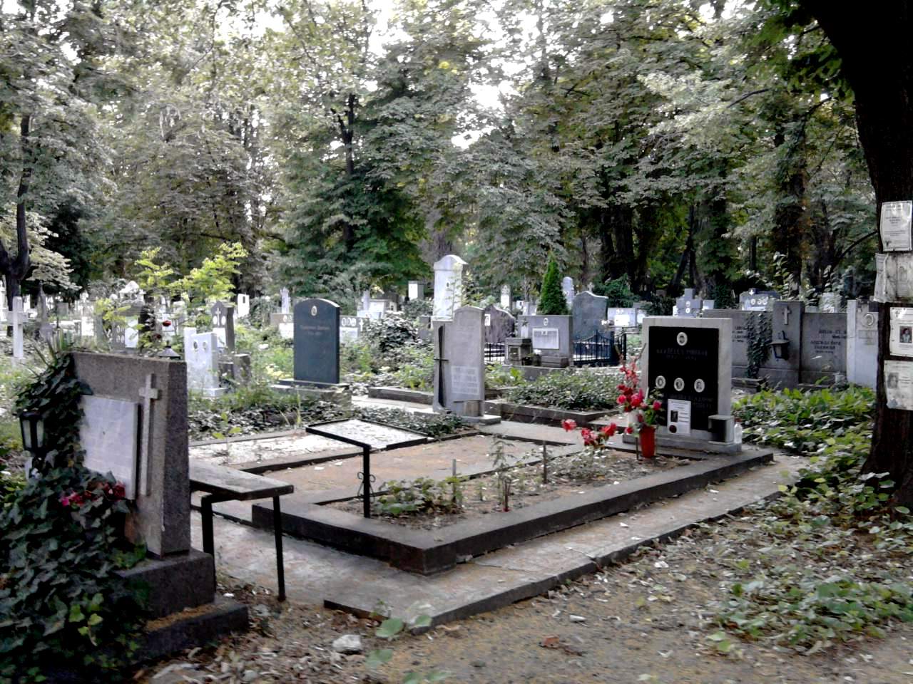 ВМРО спира вандализма в гробищните паркове ВИДЕО