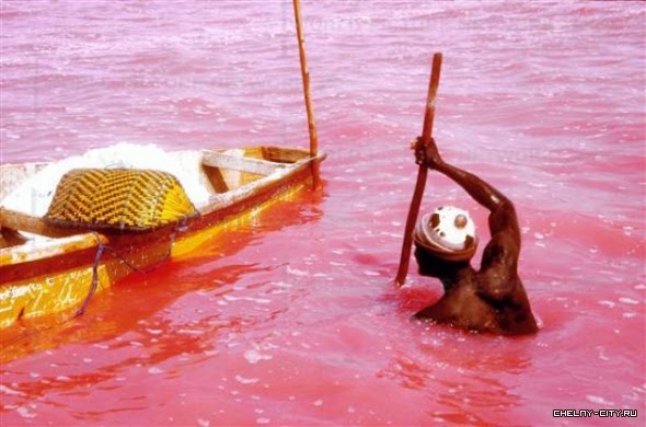 Вижте Розовото езеро в Сенегал