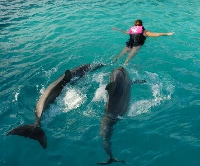 Делфини извадиха от морето жена и кучето й