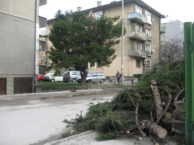 Ужас в Габрово: Млада жена загина под рухнало от бурята скеле
