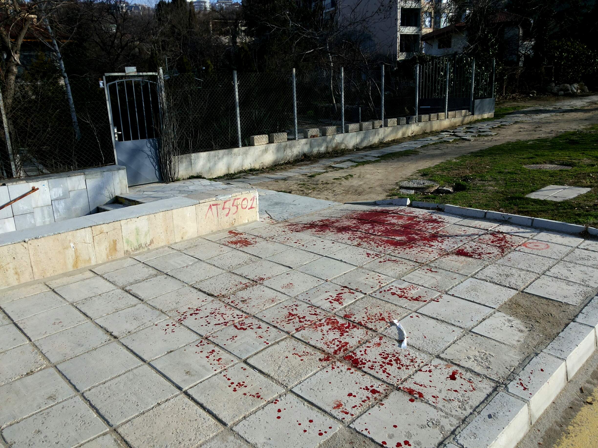 Безумна агресия: Келеши избиха с камъни зъбите на мъж в Козлодуй
