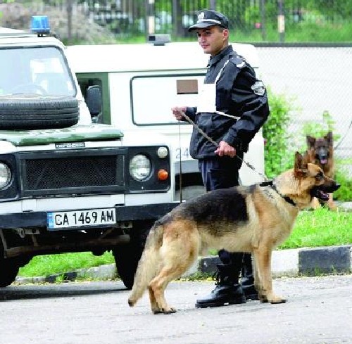 Дядо се изгуби в Балкана, намират го с кучета 