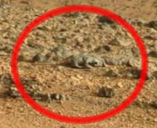 „Кюриосити“ засне гущер на Марс (СНИМКИ/ВИДЕО)