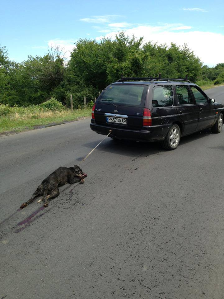 Съседи на мъжа, влачил с колата кучето си: Райчо е изрод, от него трепери цялото село!
