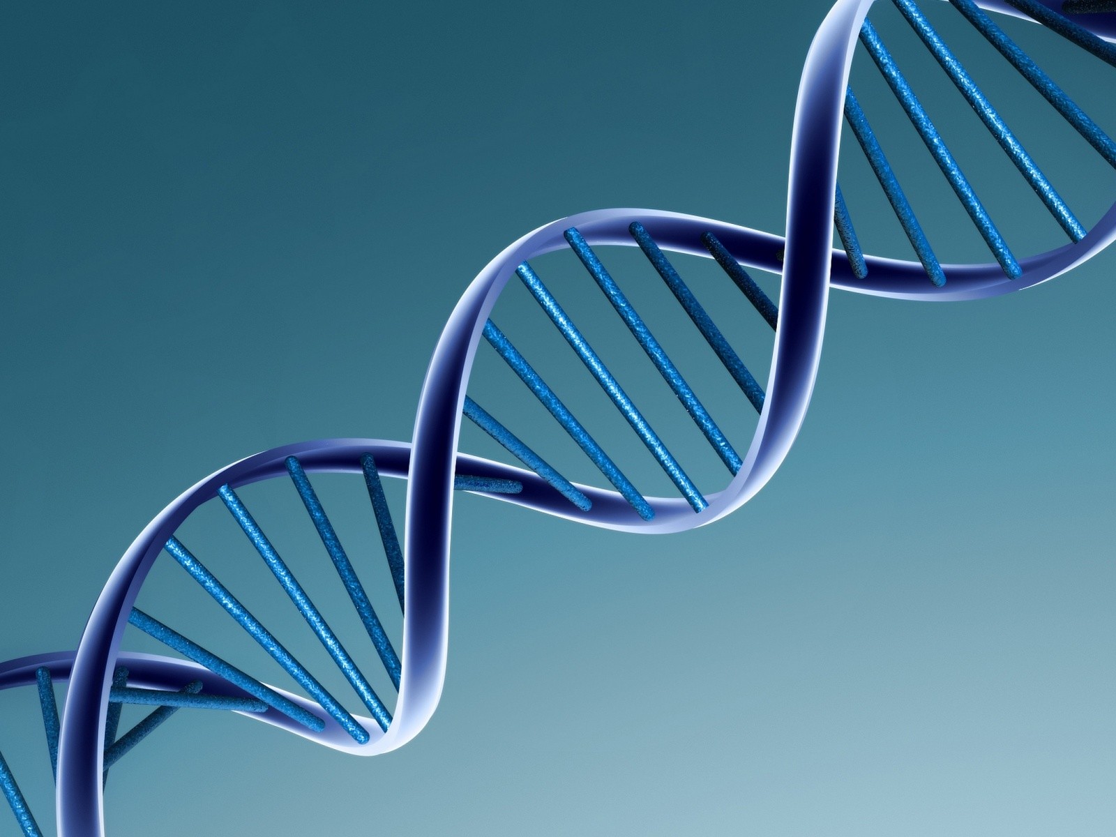 САЩ забраниха патентоването на човешкия геном