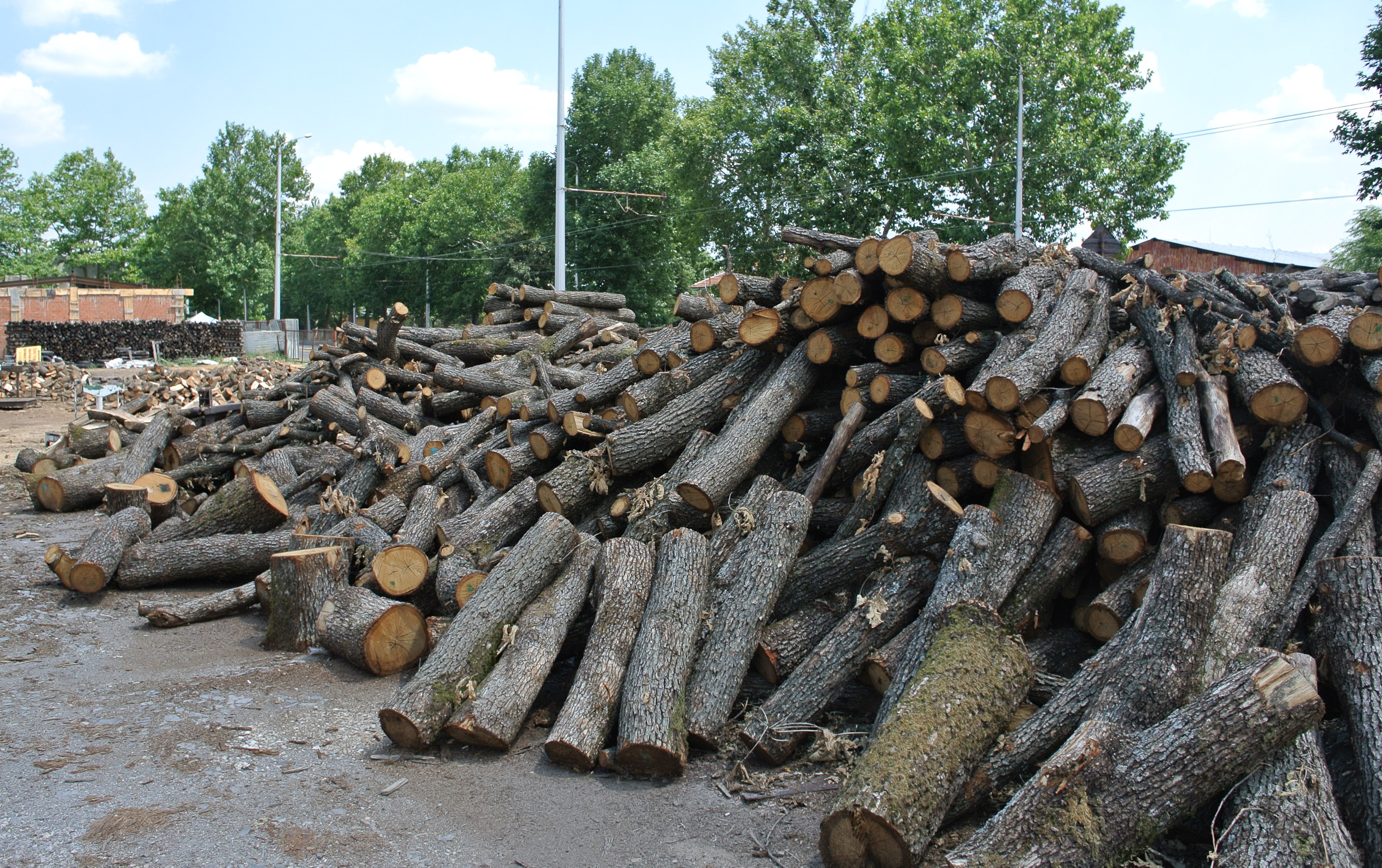Срина се цената на дървата в Хасковско