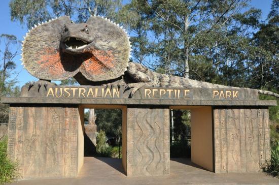 Екзотична кражба: Задигнаха гущери, гекони и алигатор от парк за диви животни 