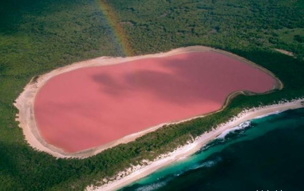 Розовото езеро е по-солено от Мъртво море