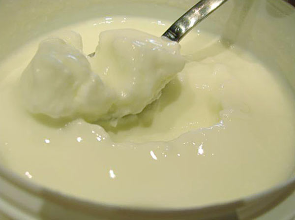 2 млрд. по целия свят ядат кисело мляко