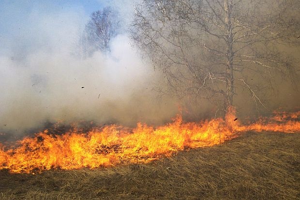 Пожар бушува сред вили до Варна