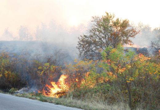 Пожар бушува във Варненско