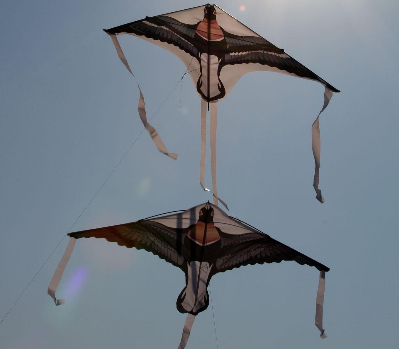 В Бургас правят парад на хвърчилата
