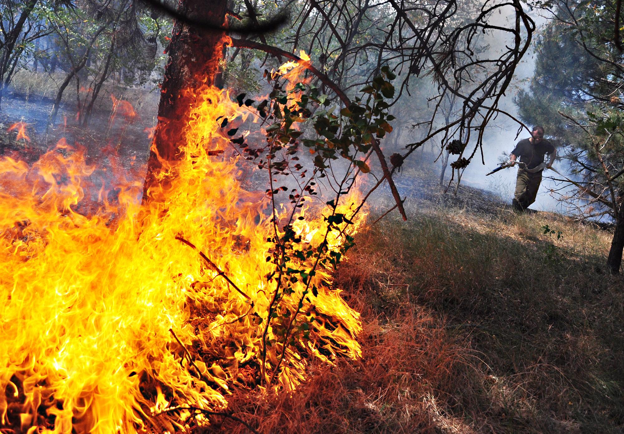 Пожарът между варненските села Слънчево и Банова е потушен 