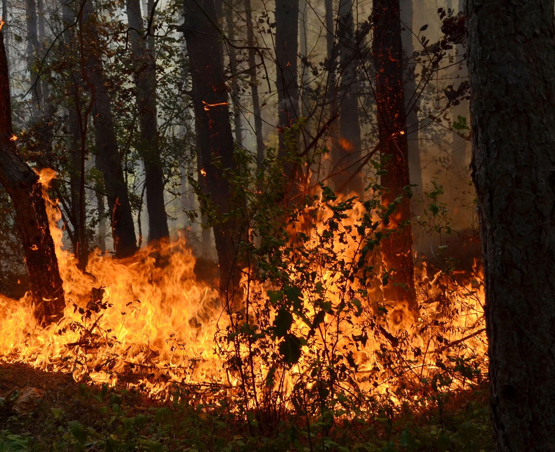 Пожарът над Свиленград бушува на площ от над 15 000 декара