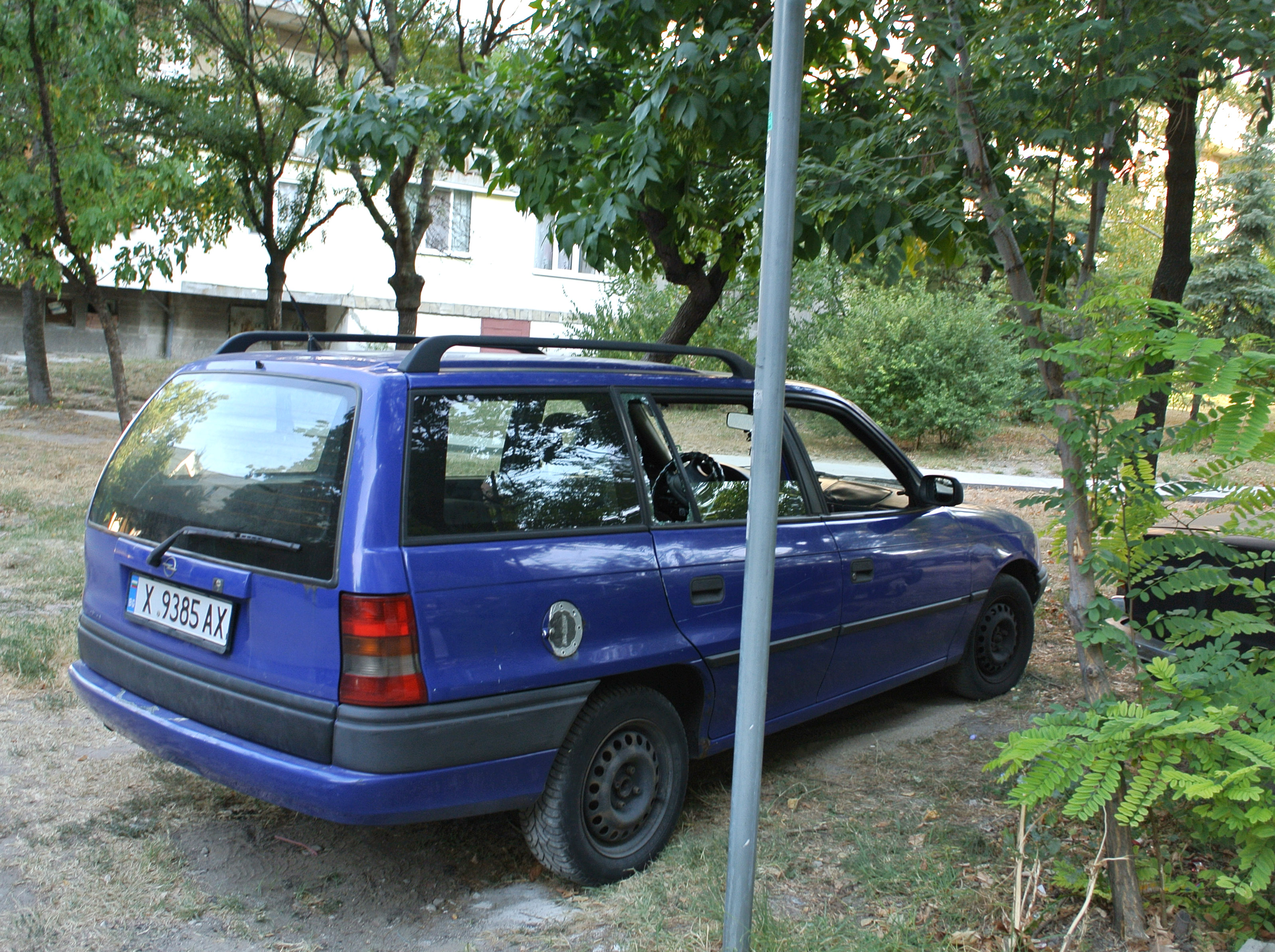 Банда тараши масово коли в Хасково (СНИМКИ)