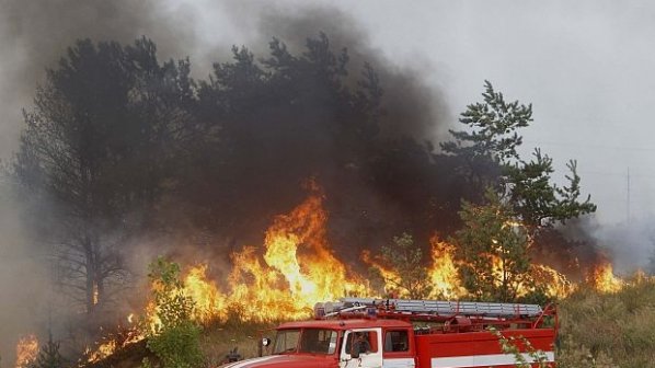 Гори вилната зона на Хисар, десетки пожарникари на крак