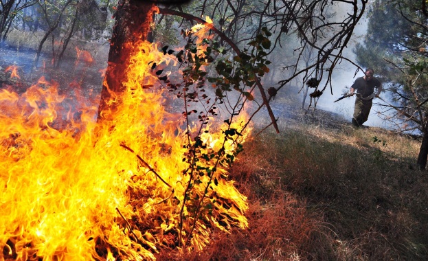 Потушиха огромния пожар край Казанлък