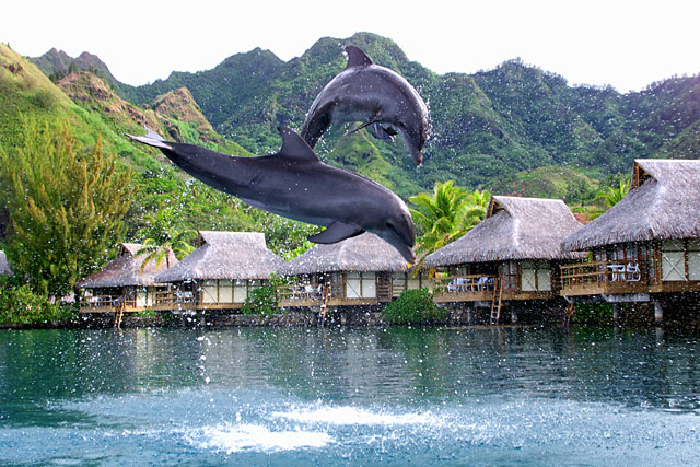 Вижте петте най-красиви острова във Френска Полинезия 