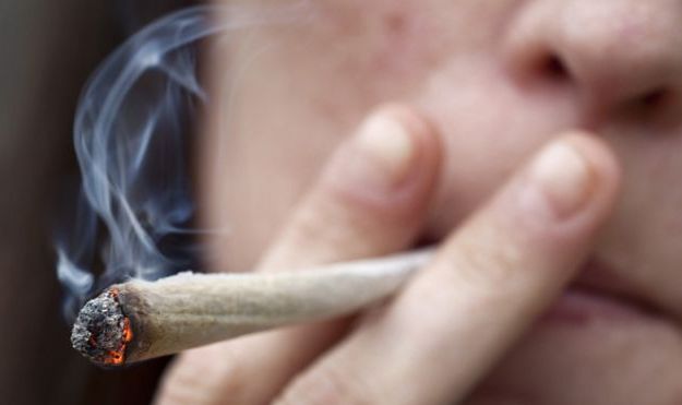 Румъния каза &quot;Да&quot; на марихуаната за медицински цели 