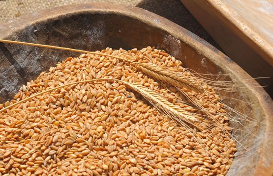 Румъния изнася българското жито 