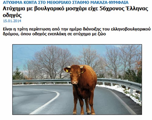 Гръцки вестник: Внимавайте в България, крави бродят по пътищата!