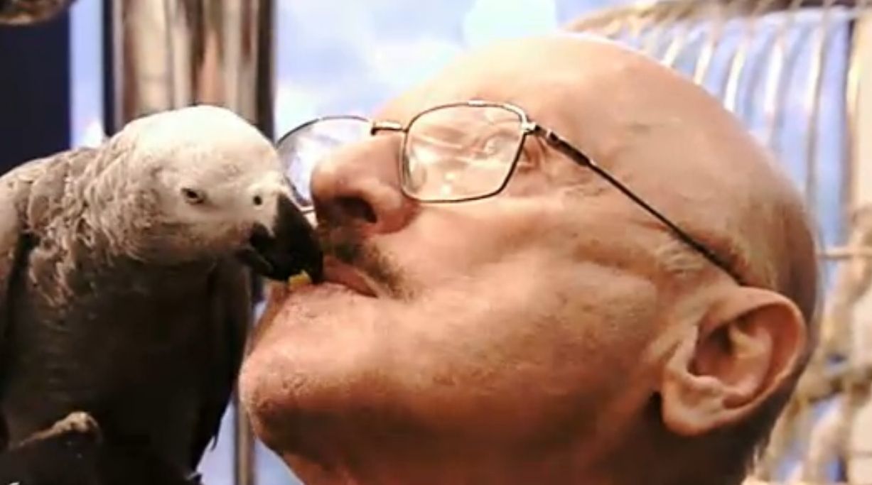 Стилист Капанов изнесе урок как се гледат папагали - с любов 