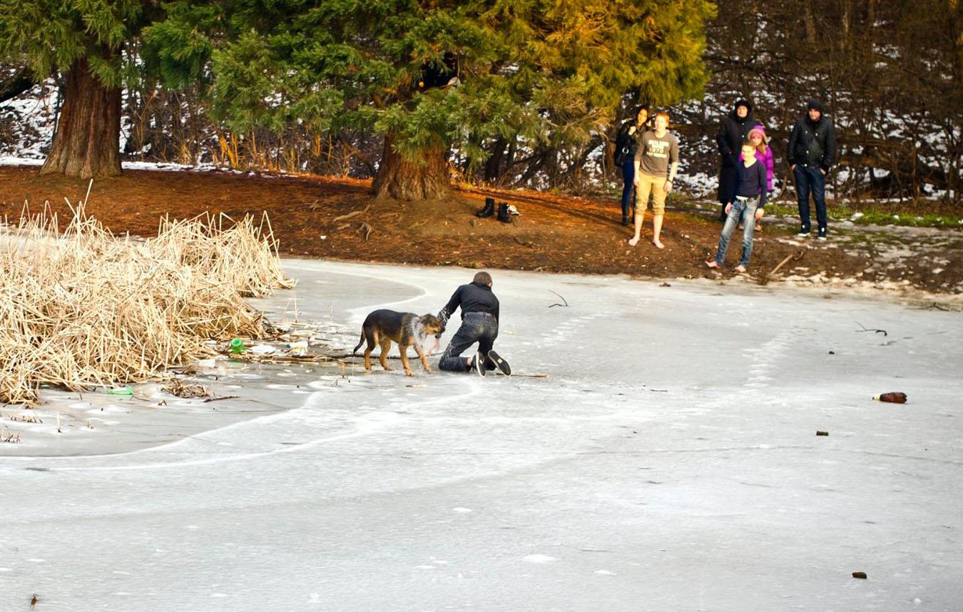 Вижте как деца спасиха куче от леден капан (СНИМКИ)