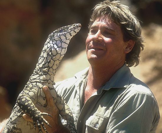 Последната дума на ловеца на крокодили Стив Ъруин: Умирам!
