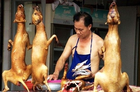 Китайски ресторант в Бургас предлага пълнено куче вместо агне