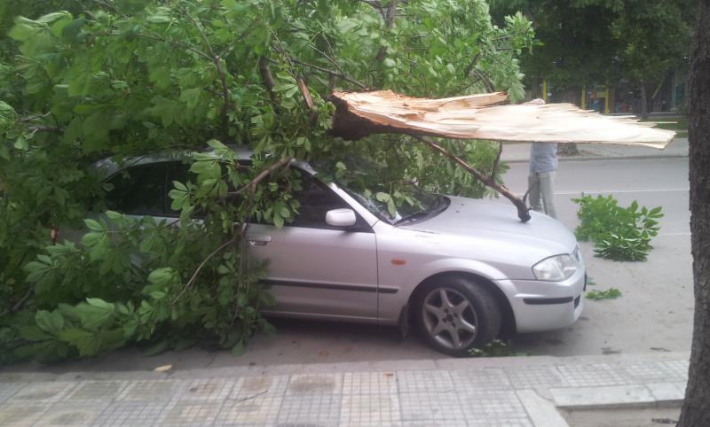Бурята във Варна стовари дърво върху кола