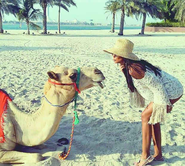 Николета мляска камили в Абу Даби