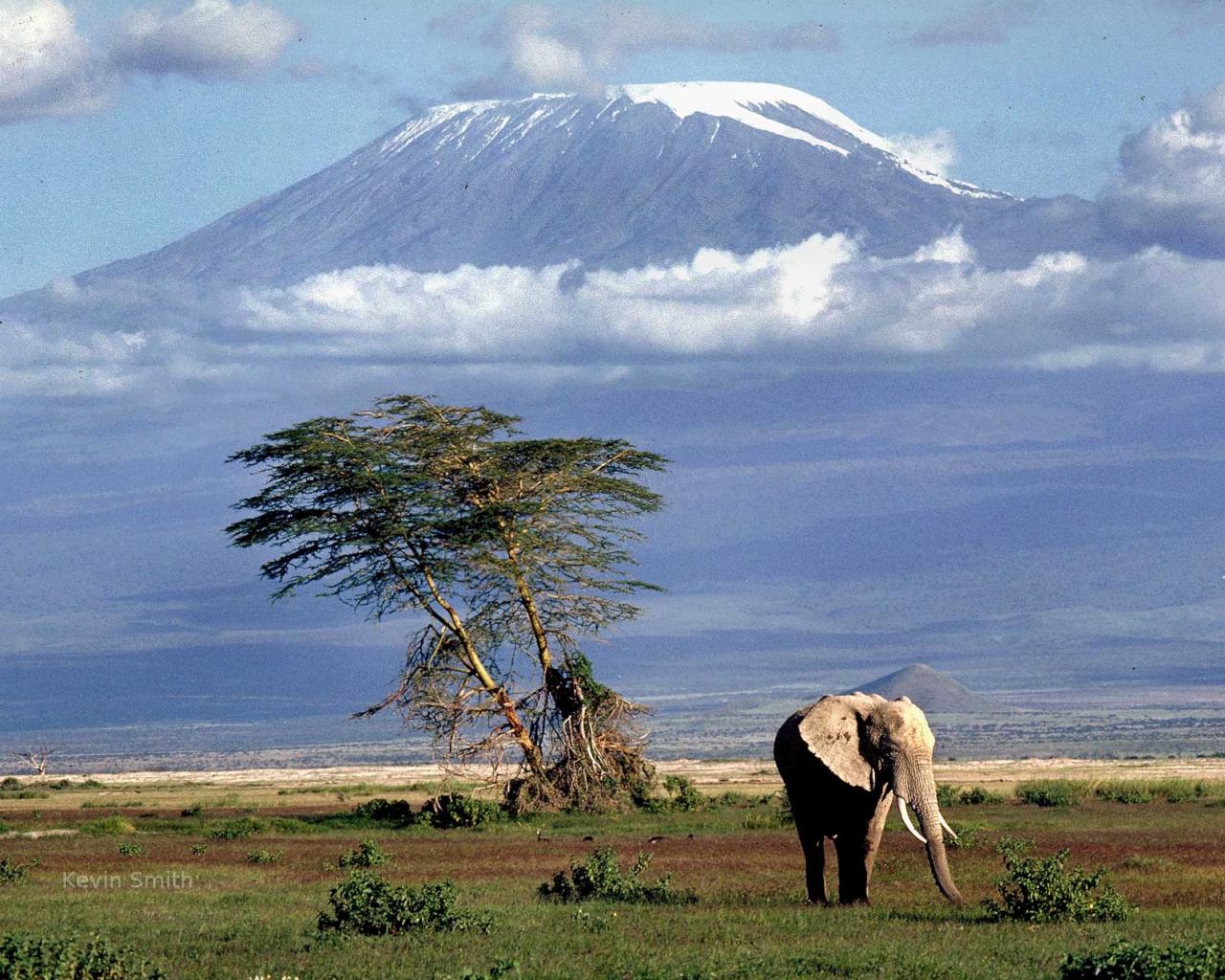 Какво не знаем за Килиманджаро