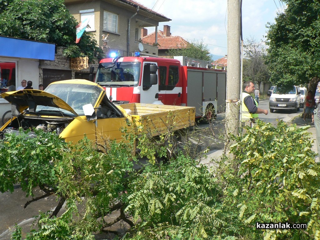 Пиян шофьор изтръгна дърво и бутна стълб до детска градина (СНИМКИ И ВИДЕО)