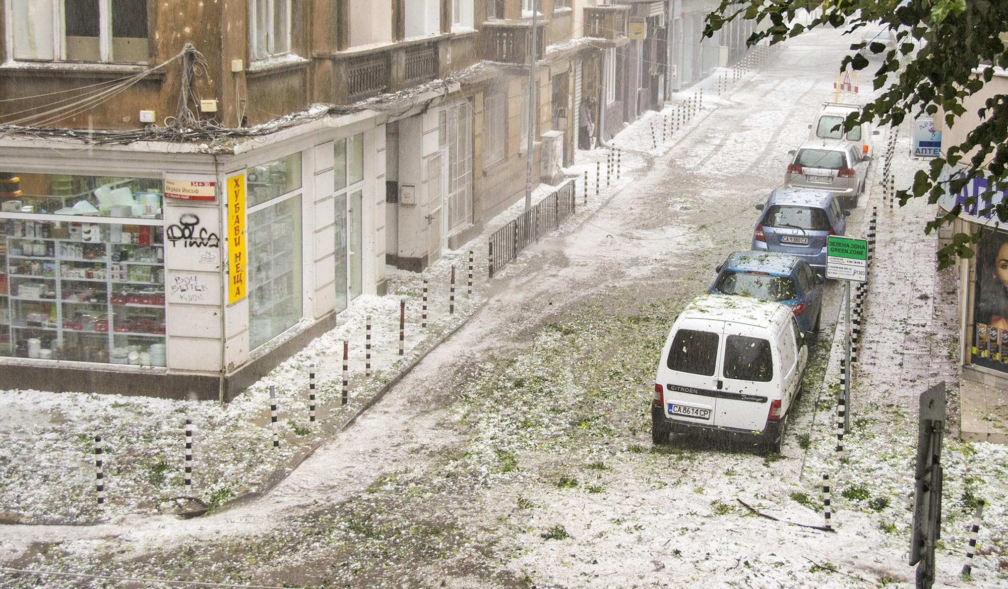 Първи данни за поразиите от стихията в столицата (СНИМКИ)