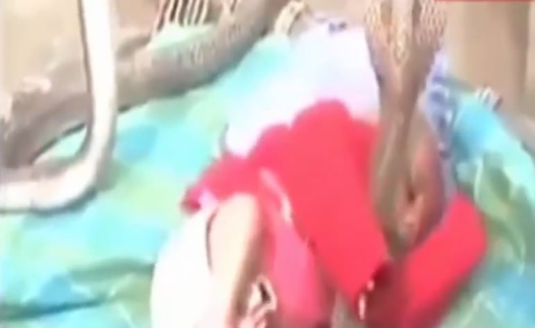 Шокиращо видео: Кобри пазят спящо бебе