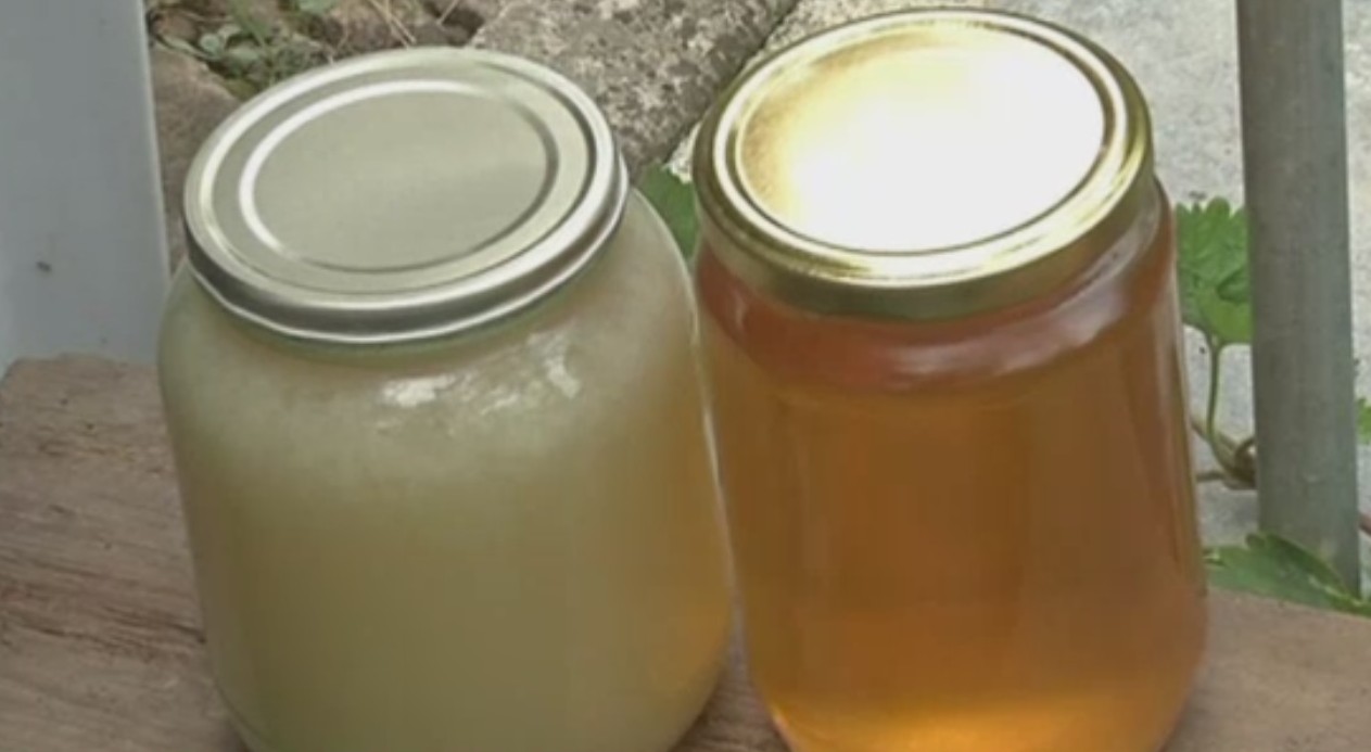 Медът ни бъкан от антибиотици, ГМО и пестициди
