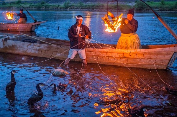 Японско изобретение: Птици ловят риба за хора