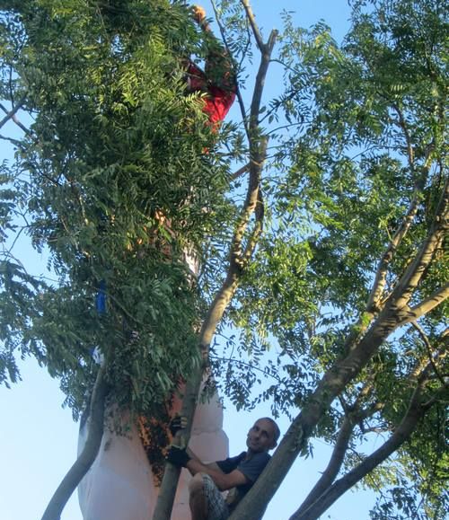 Парапланерист кацна с адски пукот на дърво в Бургас, майки изпаднаха в паника