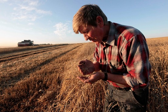 Фермерите в САЩ съкрушени от санкциите срещу Русия