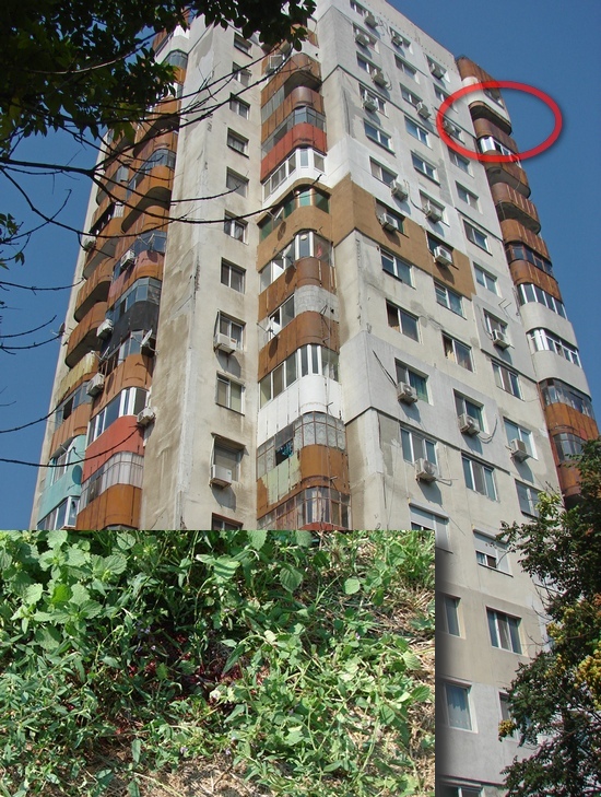 23-годишен се самоуби със скок от 15-ия етаж в Бургас!