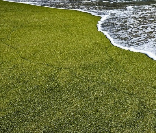 Папаколеа – плажът с изумрудения пясък