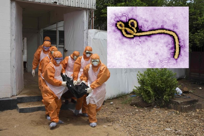 Експерти алармират: Ебола може да мутира и да се предава по въздуха