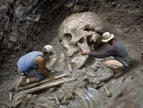 Откриха скелет на гигант в Якутия (СНИМКИ)