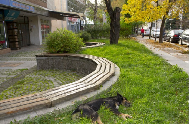 Изроди тровят кучетата в Ботевград! (СНИМКИ)