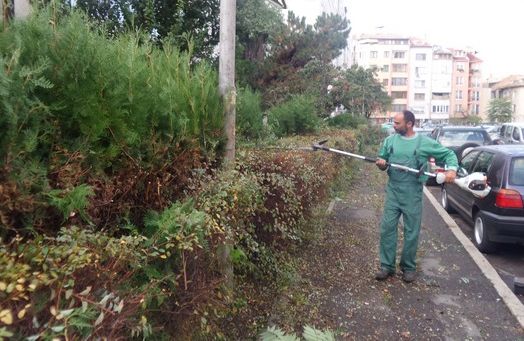 Бургаски квартал не издържа да живее в джунгла, хората сами си платиха за разчистването
